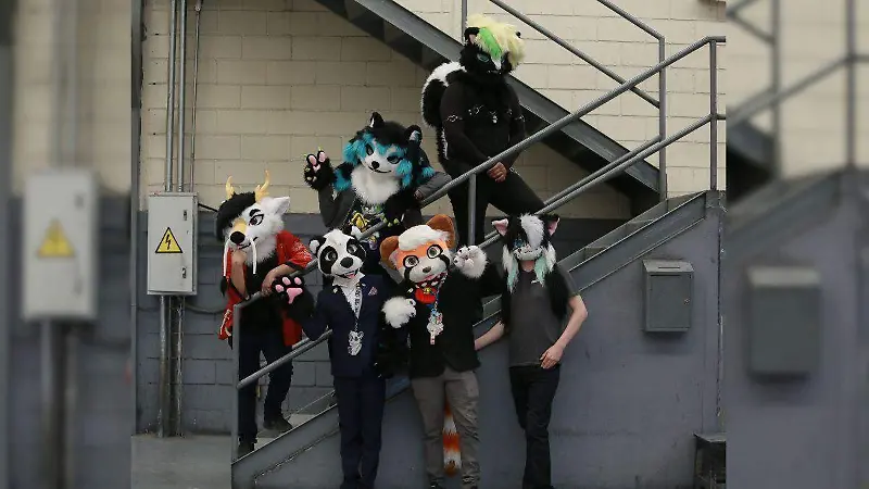 Furros, una combinación entre la creatividad y el arte